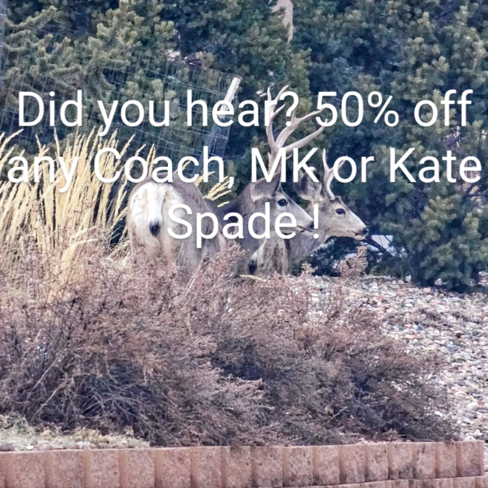 Sale Any Kate, Mk Or Coach 50% Off